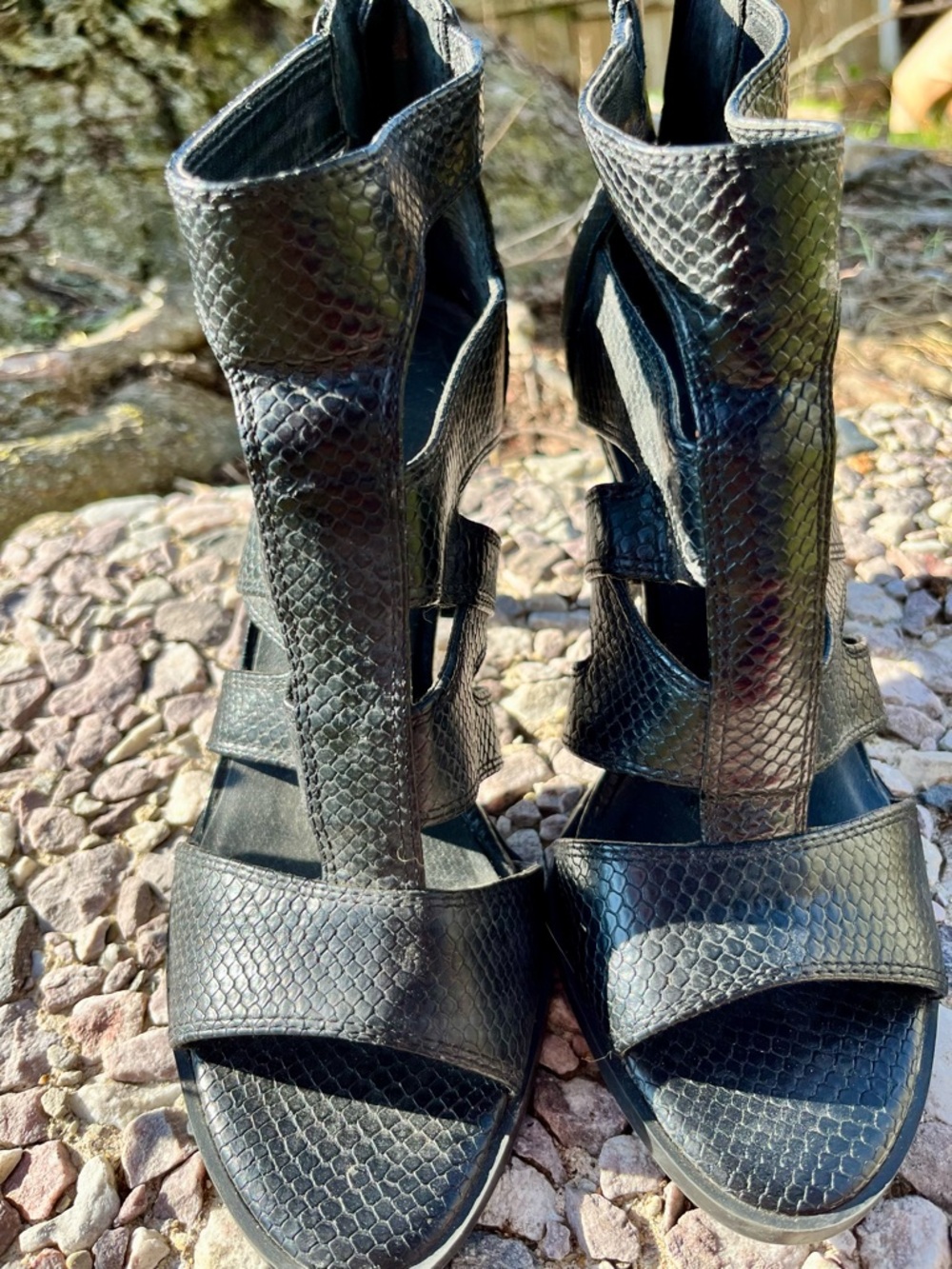 Women’s Black Snake-Embossed Ankle Booties